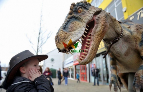 Dinosaur Baby Ronnie is popular in Swansea,Uk. The dinosaur costume makes fun anywhere.(T-rex Visiable Legs Type)